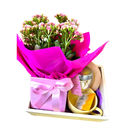 Cesta Mimo Rosa Presente Delicado Flor