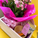 Cesta Mimo Rosa Presente Delicado Flor