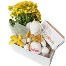 Cesta de Aniversário Doce Alegria: Flor e Brigadeiro