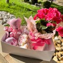 Box Especial Mãe de Pet - Carinho e Mimos