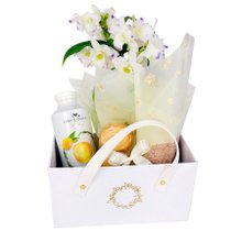 Cesta Acolhimento com Orquídea e Delícias