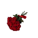 Florescer com  Ramalhete de 12 Rosas  Vermelho 