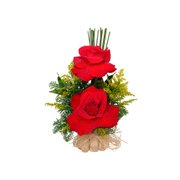 Duo de Rosas Colombiana
