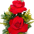 Duo de Rosas Colombiana