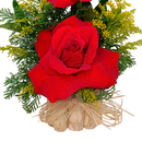 Duo de Rosas Colombiana