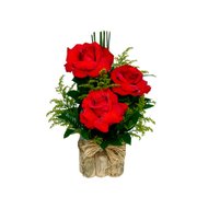 Trio de Rosas colombiana