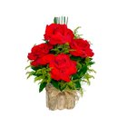 arranjo 4 Rosas colombiana