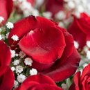 Buquê 12 Rosas Vermelhas Tradicional