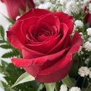 Buquê 6 Rosas Vermelhas Tradicionais