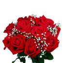 Buque 12 Rosas Vermelhas com Gipso