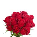 Buque 12 Rosas Vermelhas Paixão