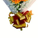 Buque Amor Dourado