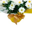 Mini Margarida Linda 