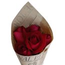 Cone 5 Rosas Vermelhas Lindas