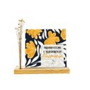 Kit Caos em harmonia