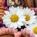 Cesta Doçura Artesanal Bakebox Doces