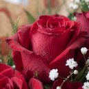 Buquê Love de Rosas Vermelhas