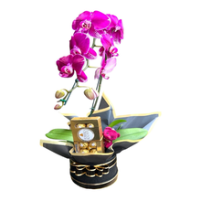 Box Luxuoso de Orquídea Cascata com Ferrero e Pelúcia