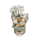 Cesta Box de Presente Maternidade Baby Boy