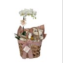 Cesta Presente de  Maternidade Baby Girl