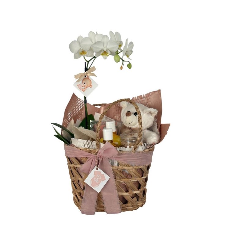 Cesta Presente de  Maternidade Baby Girl