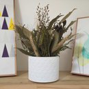 Arranjo De Flores Secas Decorativo Vaso Estados SP