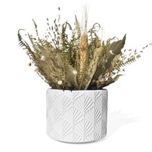 Arranjo De Flores Secas Decorativo Vaso Estados Amazon