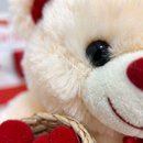 Urso Raffaello Pérola