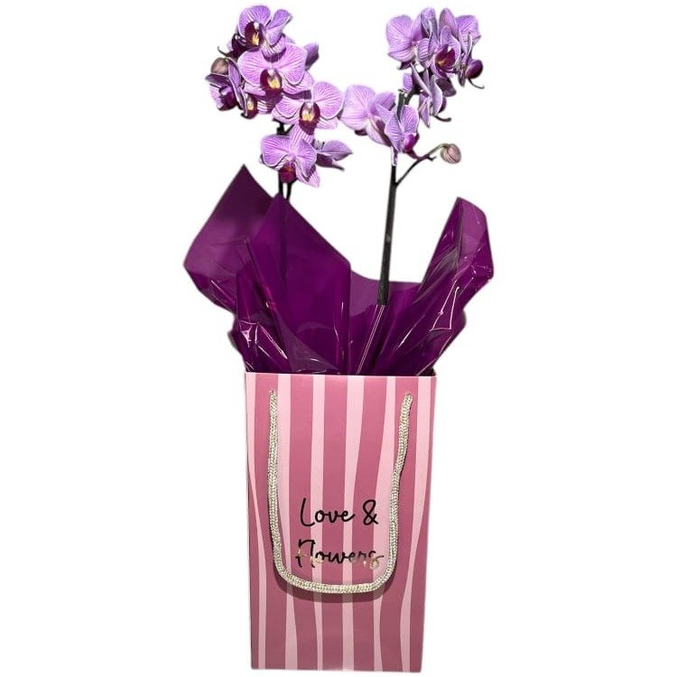 Sacola Orquídea Mini