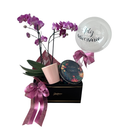 Caixa Giuliana Ternura