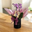 Lata Giuliana Bom dia