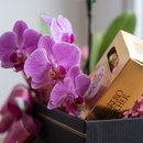 Caixa Giuliana Doçura
