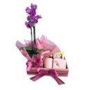 Cesta Joía de Carino