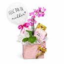 Caixa Hoje é seu Dia