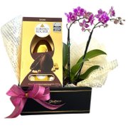Caixa Páscoa Encantada Ferrero