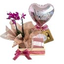 Baú Amor de Mãe