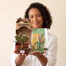 Bonsai Serissa 2 Anos E Kit Para Cuidados