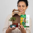 Bonsai Mini Goiaba E Kit Para Cuidados