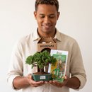 Bonsai Procumbens 3 Anos E Kit Para Cuidados