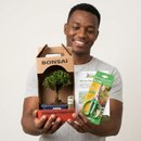 Bonsai Buxus Harlandii 3 Anos E Kit Para Cuidados