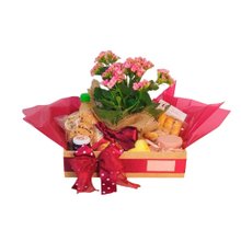 Cesta de Café Aurora Premium