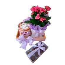 Box Happy Birthday Lilás