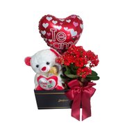 Box Essência de Amor