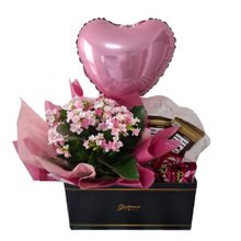 Box Explosão de Carinho