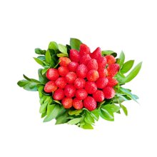 Buquê de Morango Petit Bouquet