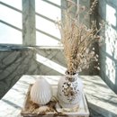 Kit Sofisticado Boho Chic para Presente