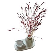 Kit Decorativo Oásis - Linha Sofisticação