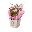 Vaso de Kalanchoe Natural Personalizado 