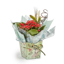 Vaso de Kalanchoe Natural Personalizado 