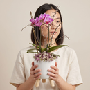 Arranjo Duo de Mini Orquídeas com Flores Secas